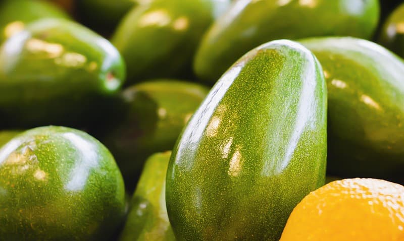 images/1664435399789Clasificadoras de aguacates dominicanas.jpg